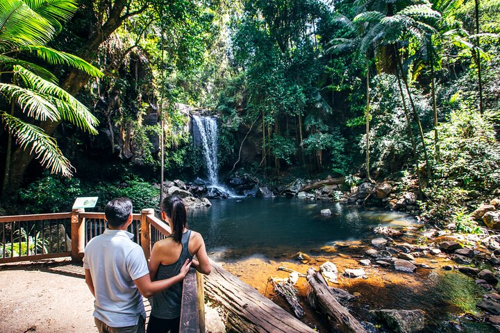 Aquaduck  Your choice of Gold Coast Rainforest Tour - Accommodation Brisbane